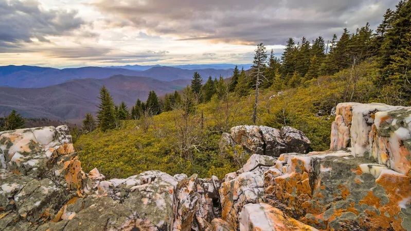 Quartz high in the Blue Ridge Mountains near Asheville