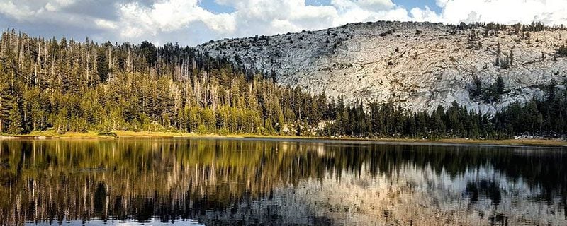 Alpine trees reflected in lake