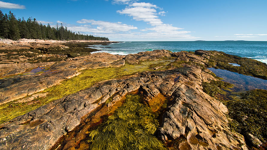 Wonderland Trail - Acadia National Park - Maine