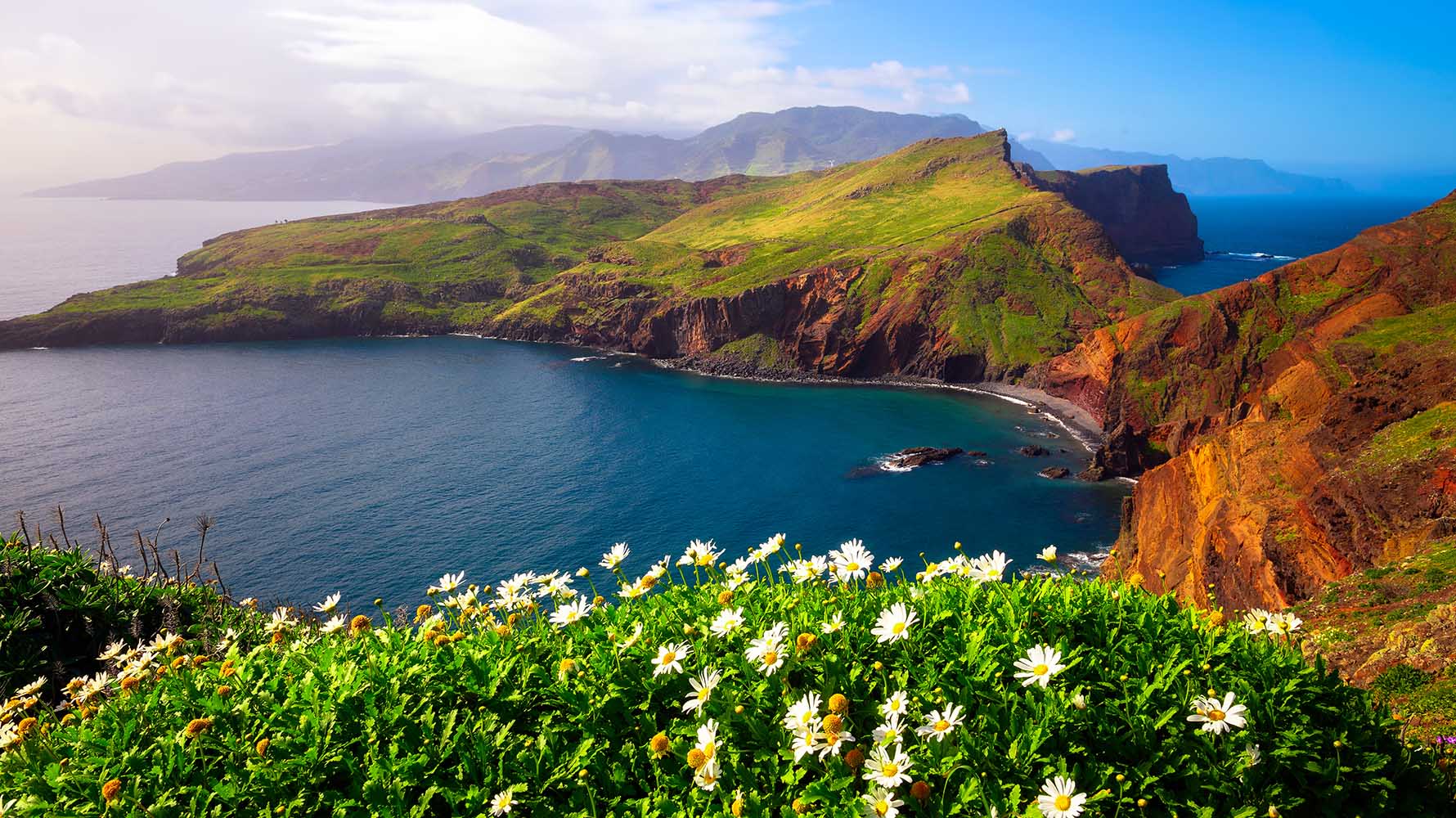 Ponta de Sao Lourenco peninsula with beautiful flowers in the foreground in the Madeira Islands, Portugal.