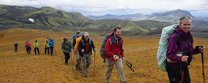 Hikers walking through a yellow-grass field