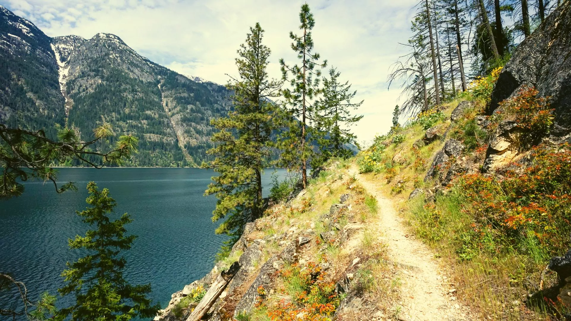 Hiking trail near Lake Chelan North Casades