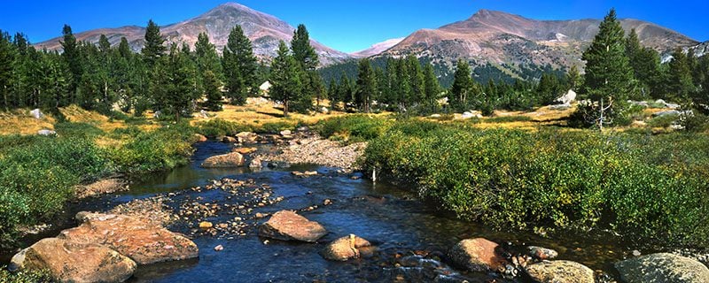 Dark blue stream beside green and yellow meadows