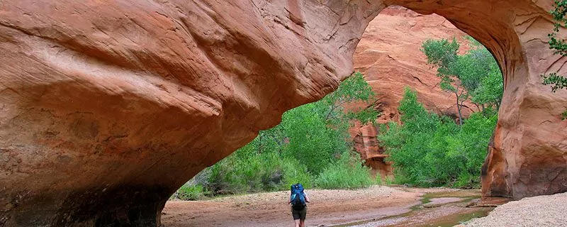 Coyote Gulch