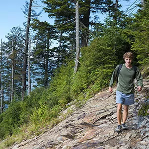 A hiker calmly moves across the rocky terrain in the Great Smoky Mountains