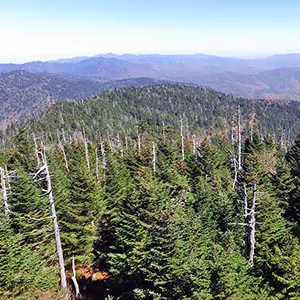 A vantage point high in the Smoky Mountains