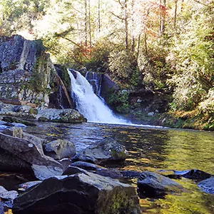 A gushing waterfall in the Great Smoky Mountains
