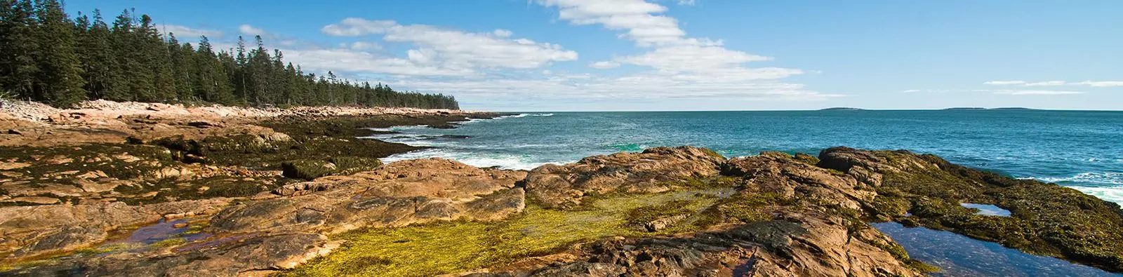 Wonderland Trail - Acadia National Park - Maine