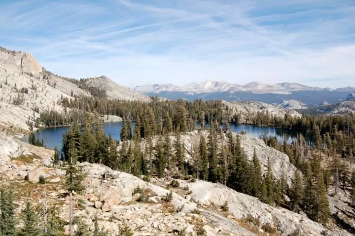 Yosemite lake and trees